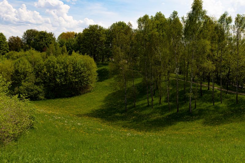 Terrain Clearing