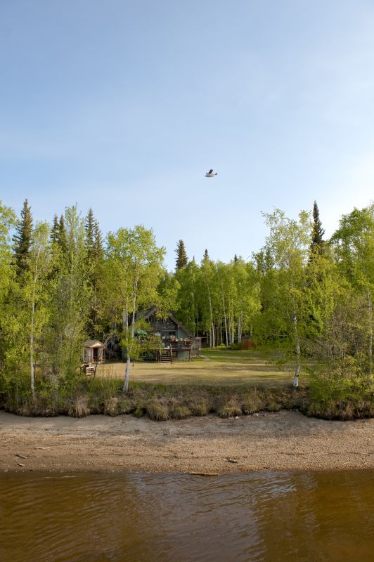 Terrain Clearing