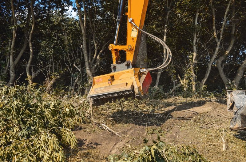 Tree Removal Equipment