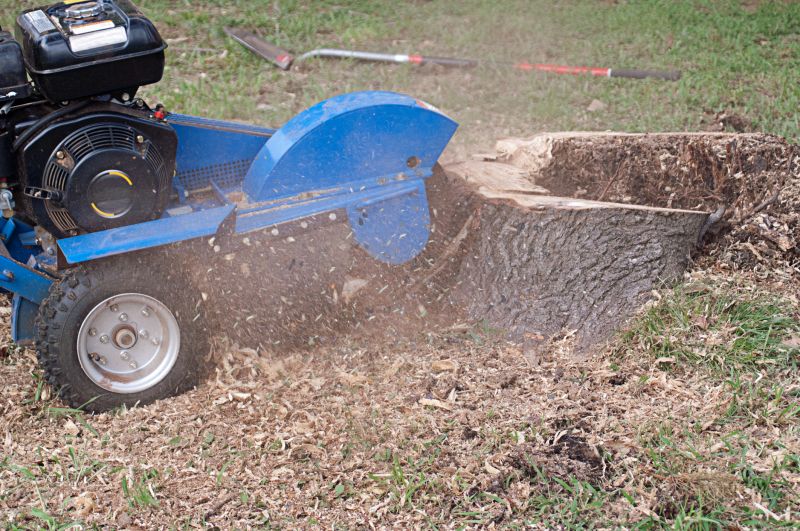 Stump Removal Process
