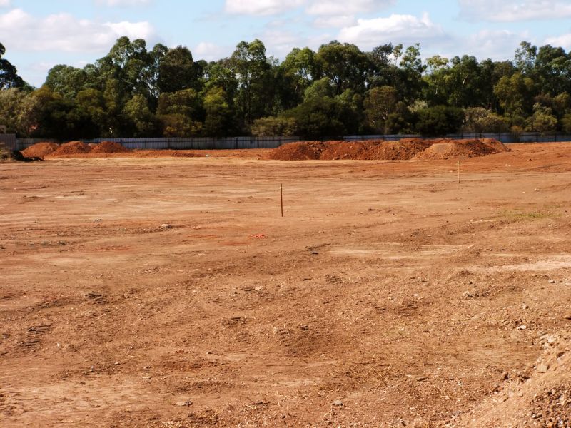 Landscape Preparation